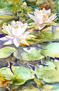 Floating series fourteen