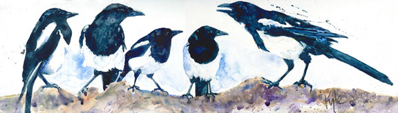 A Parliament of Magpies