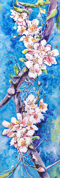 Apple Blossoms