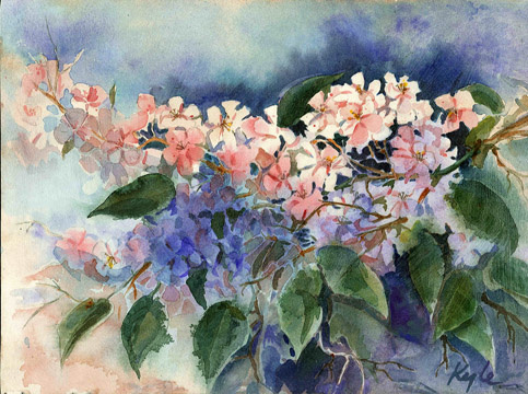 Cherry Blossoms 4
