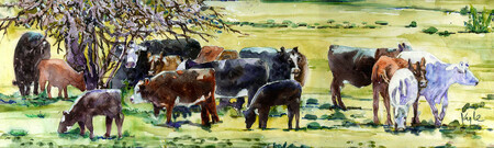 Cows on Lodge Road