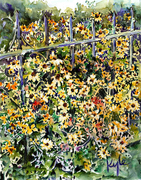 Daisies against Iron Fence