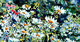 Daisies - Forget-me-nots - Bleeding Hearts