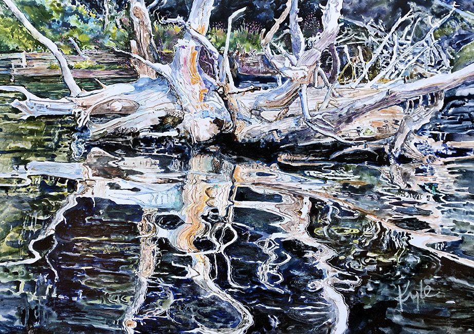Dee Lake Reflection