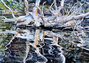 Dee Lake Reflection