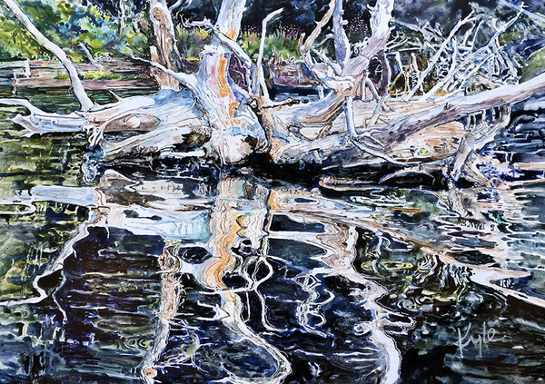 Dee Lake Reflection