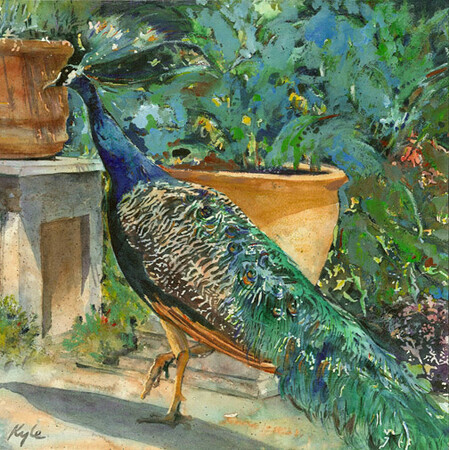 in the garden of delight - peacock