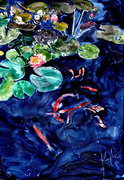 Koi & Lilies