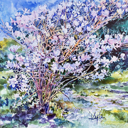 Magnolia Tree