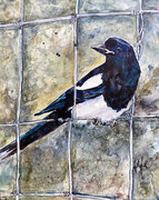 Magpie one