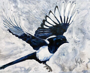 Magpie two