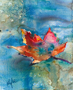 Maple Leaf floating on water