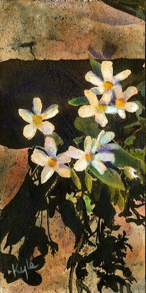 Northern Fairy Candelara 2