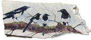 Okanagan Magpies on Maple Board
