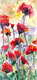 Peace Poppies one
