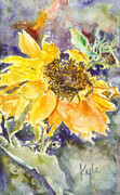 Sunflower Four