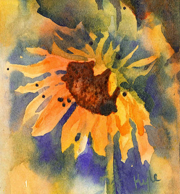 Sunflower Study