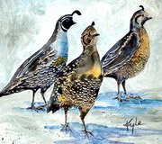 Three Quails