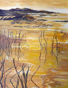 Save the Marshlands