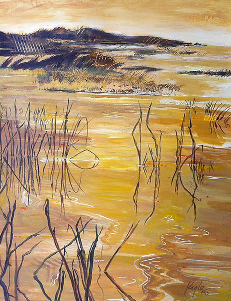 Save the Marshlands