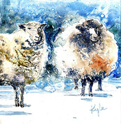 Winter Coats