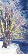 Winter Walk in Lake Country